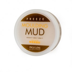 Freeze Moulding Mud 100g